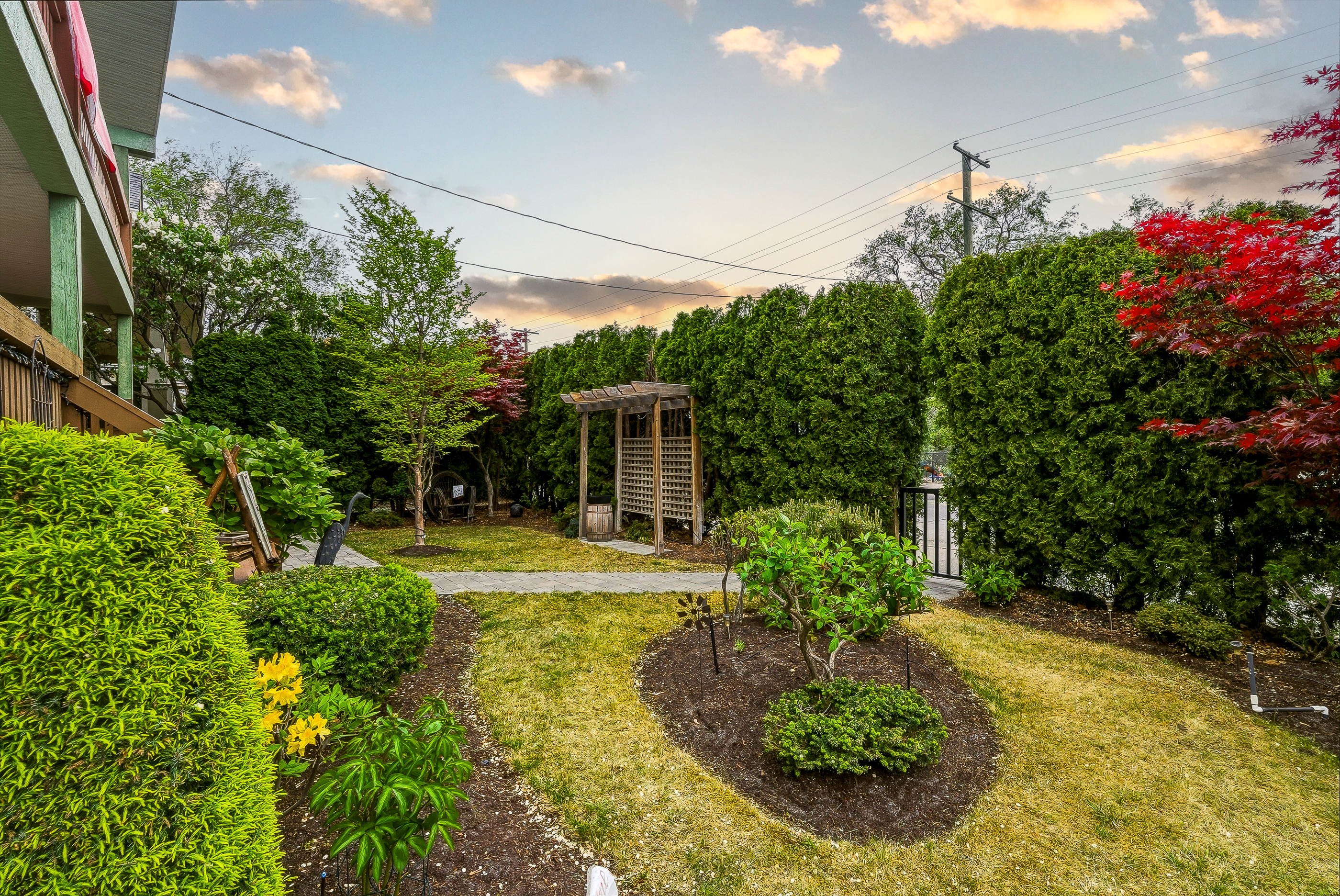 Private front yard with mature hedges, ornamental maple and a pergola gate framing the path — a downtown secret garden