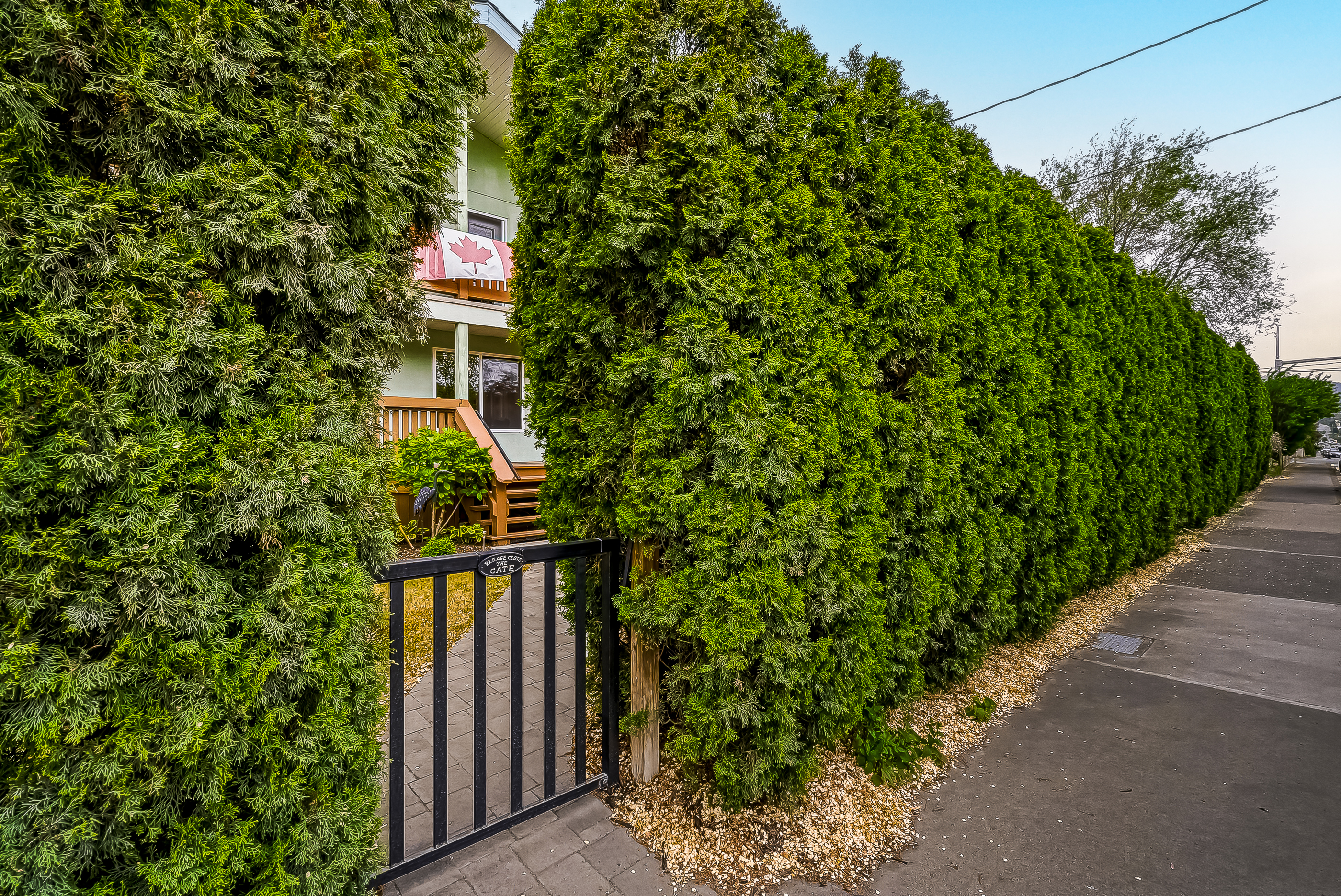Tall mature hedges along Columbia Street with a black iron gate opening to the private front yard at 1127 Columbia St