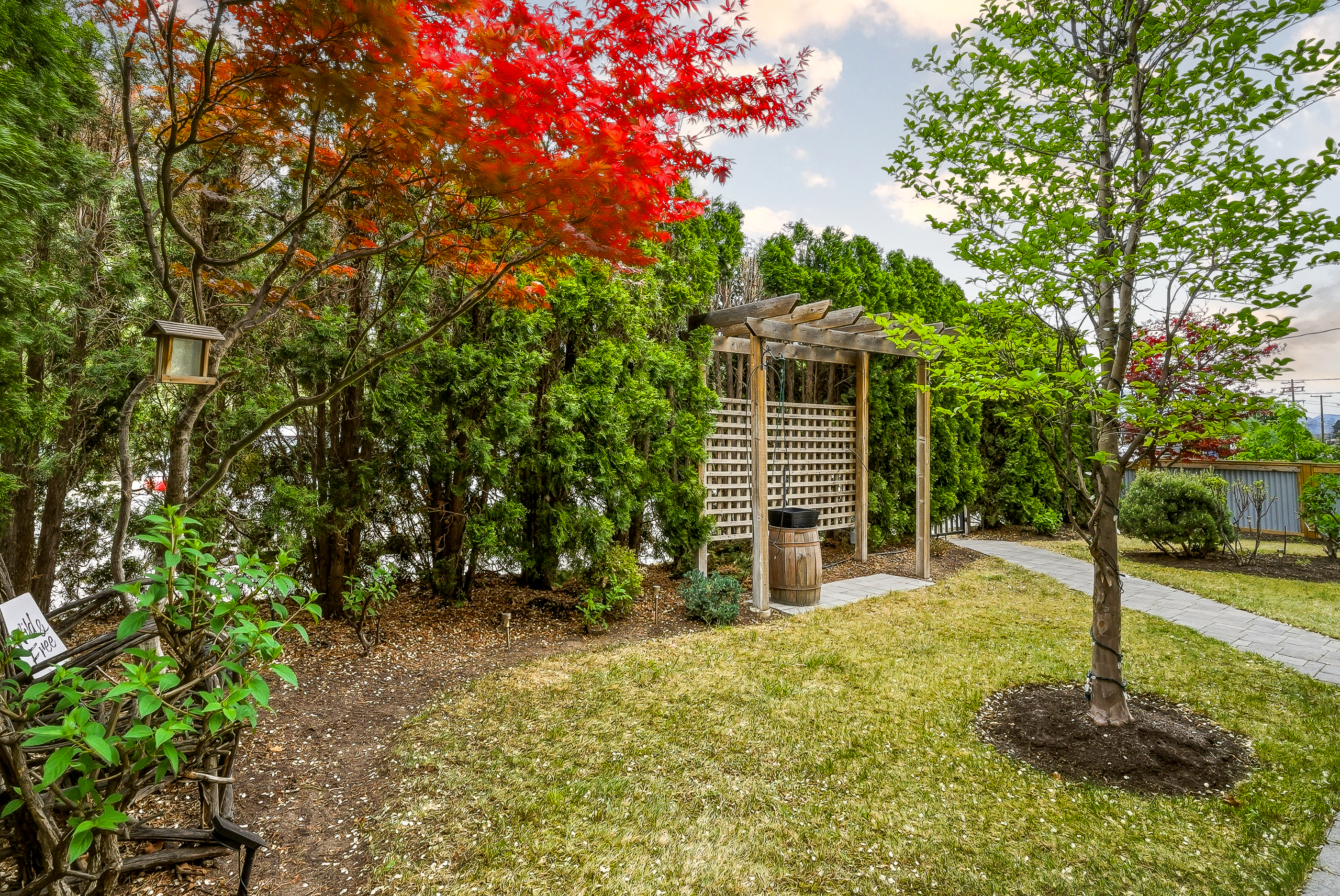 Interior of the front yard with a wooden pergola gate, vibrant red Japanese maple, manicured lawn and dense evergreen hedges