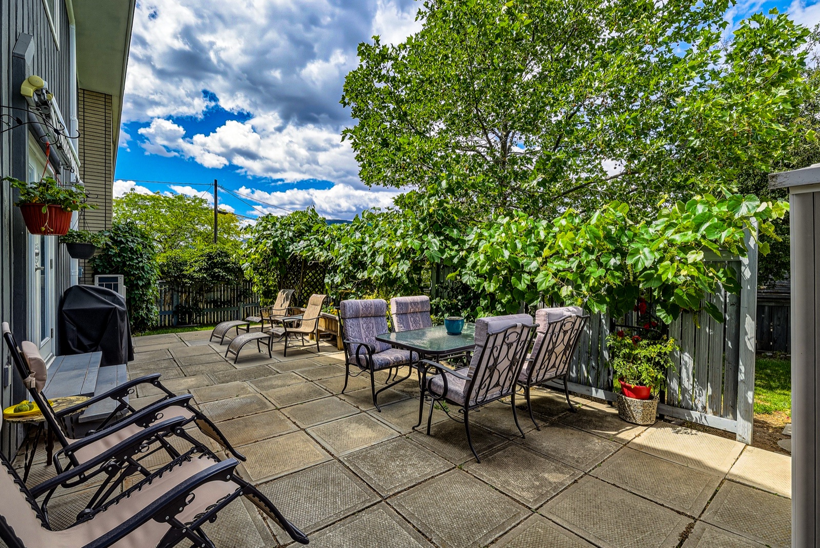 Back patio at 125 Corry Place with seating, grape vines, and a fenced yard